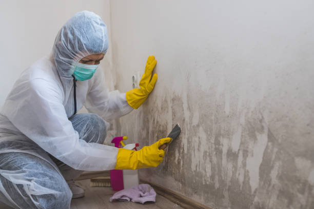 Best Crawl Space Mold Removal  in Nichols Hills, OK