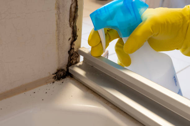 Best Emergency Mold Removal  in Nichols Hills, OK