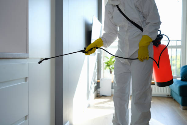 Best Commercial Mold Removal  in Nichols Hills, OK