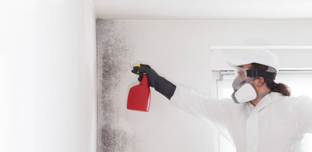 Best Emergency Mold Removal  in Nichols Hills, OK