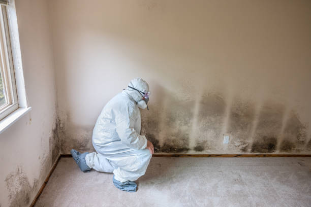 Best Residential Mold Removal  in Nichols Hills, OK